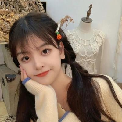 圣殿骑士的宝藏