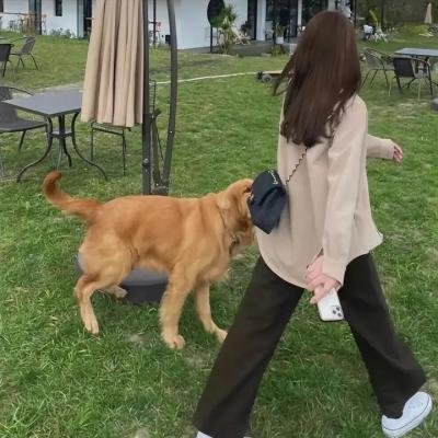 假如猫从世界上消失了