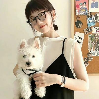 虎踞龙盘